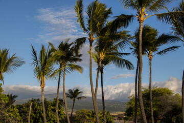Fototapeta na wymiar Mahai'ula Beach, Hawaii