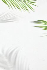 White background with palm leaf and shadow of palm leaf. Minimal abstract composition - concrete wall and hard shadow of the palm and monstera leaf. Elegant poster of natural elements and shadow.