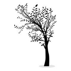 isolated tree silhouette on white background