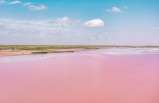 Beautiful landscape, pink lake Sivash, Lemurian, view from a drone in the early morning