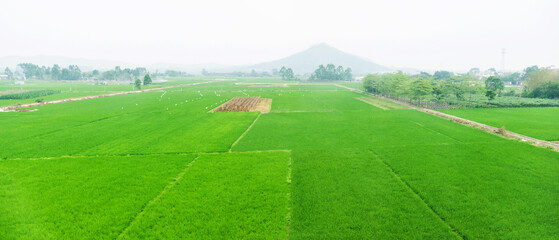 View of farm fields in springtime
