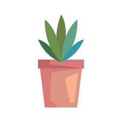 houseplant in pink pot