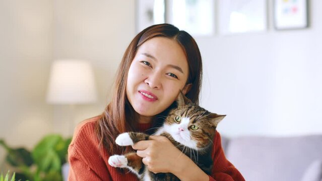 Young Asian woman and her pet, cat talking on facetime, video call at home, look at camera webcam view