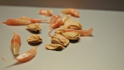 Red grapefruit seeds and table space for your decoration.
