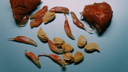 Fall and winter ingredients still life