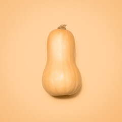 Good for the soul. Shot of a butternut squash against a studio background.