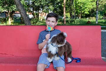 8 year old boy biting a lollipop, sitting next to his pet_shih tzu.