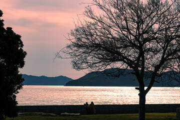 倉敷市の田土浦公園から夕日に輝く海