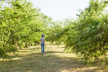 Fototapeta na wymiar A cheerful kid in jeans, a T-shirt and a blue hat is playing in the garden among the apple trees.