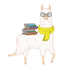 Cute smart llama with books. Vector illustration isolated on white background © tiena