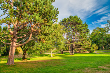 Fototapeta na wymiar Beautiful summer colors of Beacon Hill Park in Victoria, Vancouver Island