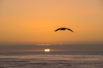 Fototapeta na wymiar San Diego Sunset Strolls