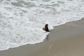 San Diego Sunset Strolls