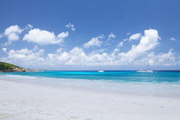 Tropical beach with palm trees