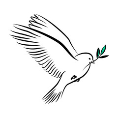 Silhouette of a flying dove with olive branch. White pigeon doodle. Vector illustration