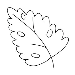 Delicate black and white sketch of a spring flower. Vector illustration in hand drawn style.