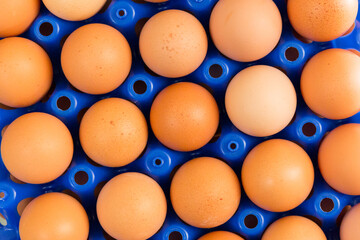 detailed view on fresh natural brown eggs in blue plastic container