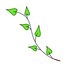 Fresh natural green leaf colored with stroke. Vector illustration in hand drawn style.