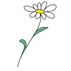 Colorful bright flower. Vector illustration in hand drawn style.