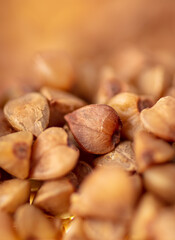 Close-up of buckwheat groats as background.