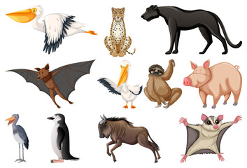 Different kinds of animals collection