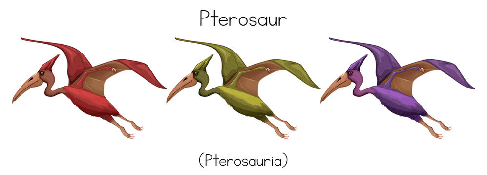 Pterosaur In Three Colors