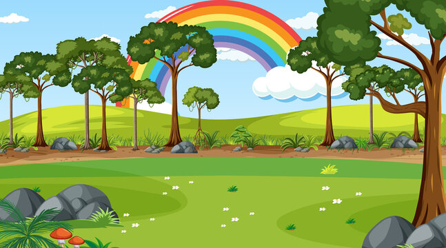 Nature forest scene with rainbow in the sky