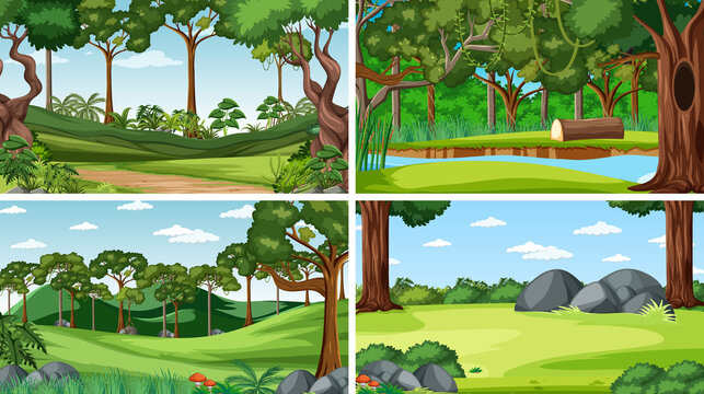 Four forest scenes with trees and river