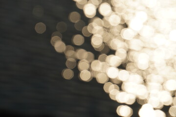 川のキラキラした水面/Sparkling surface of the river