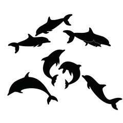 dolphin set for your vector needs