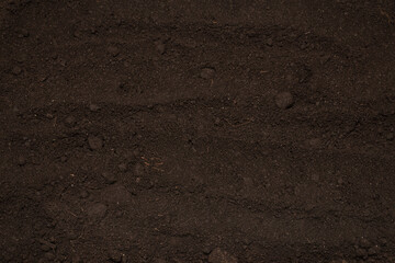 Black land for plant background. Top view.