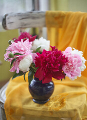 Fototapeta na wymiar Still life with white and pink peonies in a blue vase on vintaje chair