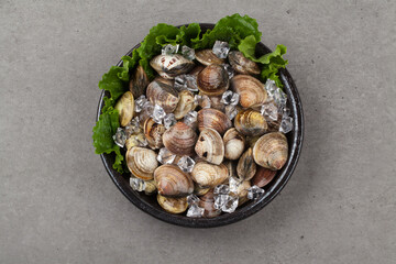 Clams, clams, fish and shellfish, seafood, cooking, food ingredients, bow clams, animals, food, seafood, sea shells, sea shells, semi-locks, ringworms, laundry, animal, sealife, marine life, invertebr