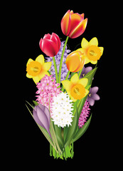 Tulpen & herrliche Narzissen als Frühlingsstrauss