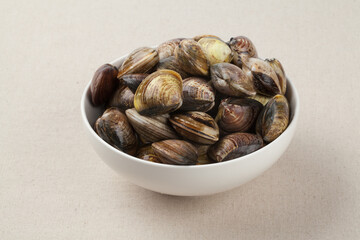 Clams, clams, fish and shellfish, seafood, cooking, food ingredients, bow clams, animals, food,...