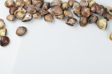 Clams, clams, fish and shellfish, seafood, cooking, food ingredients, bow clams, animals, food,...
