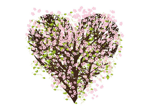 herzf&ouml;rmige Baumkrone mit Bl&uuml;ten im Fr&uuml;hling