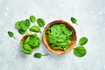 Green spinach leaves on a gray stone background. Healthy food. Top view.