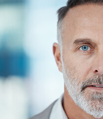 A boss is made with their mindset. Portrait of a mature businessman working in a modern office.