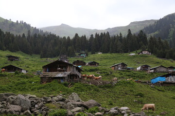 mountains and villages surrounded by green forests.turkey