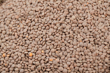 lentil beans, beans, grains, grains, protein, fiber, diet, lens beans, vitamins, superfoods,
