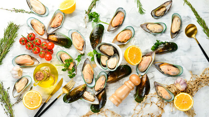 Raw green large mussels with spices on ice. The clams are ready for dinner. Free space for text.