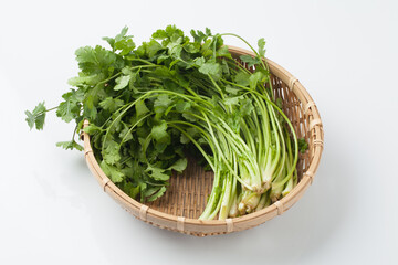Fototapeta premium Food ingredients, coriander, Southeast Asian spices, spices, spices, cilantro leaves,