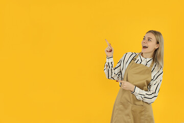 Concept of profession with young waitress, space for text