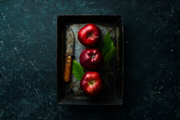 Fruits. Fresh juicy red apples. Rustic style. On a black stone background. © Yaruniv-Studio