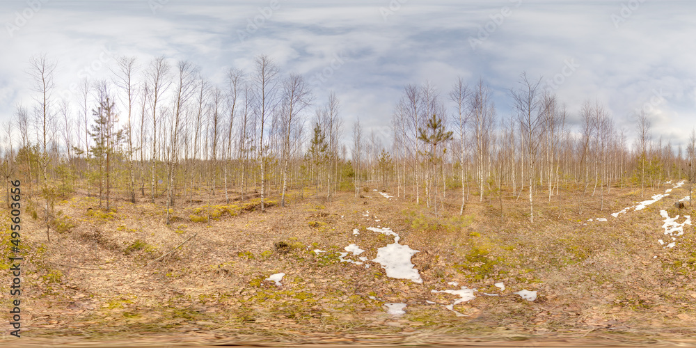 Wall mural amazing landscape with blue sky at spring trees without greens and grass with snow 3d spherical pano