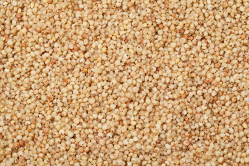 sorghum, grain, multi-grain, grain, rice, food, ingredients, food,