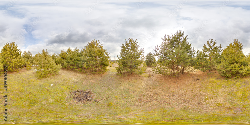 Wall mural amazing landscape with blue sky at spring trees without greens and grass 3d spherical panorama with 