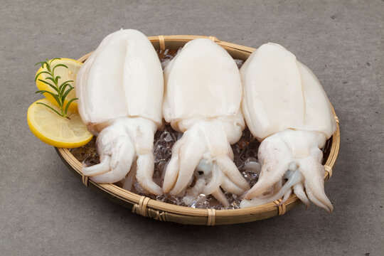 Squid, squid, seafood, seafood, food, food, ingredients, fish market, cooking.