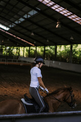 Young woman trains in horseback riding in the arena. A pedigree horse for equestrian sport. The sportswoman on a horse. The horsewoman on a horse. Equestrianism. Horse riding. Rider on a horse.
